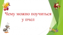 Презентация по биологии на тему Чему мы учимся у пчел.