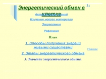Презентация по биологии на тему:Энергетический обмен