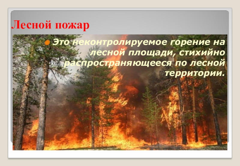 Лесные пожары презентация. Лесной пожар это определение. Кл час пожар в лесу. Пожар в лесу классный час. Лесные пожары презентация 2 класс.