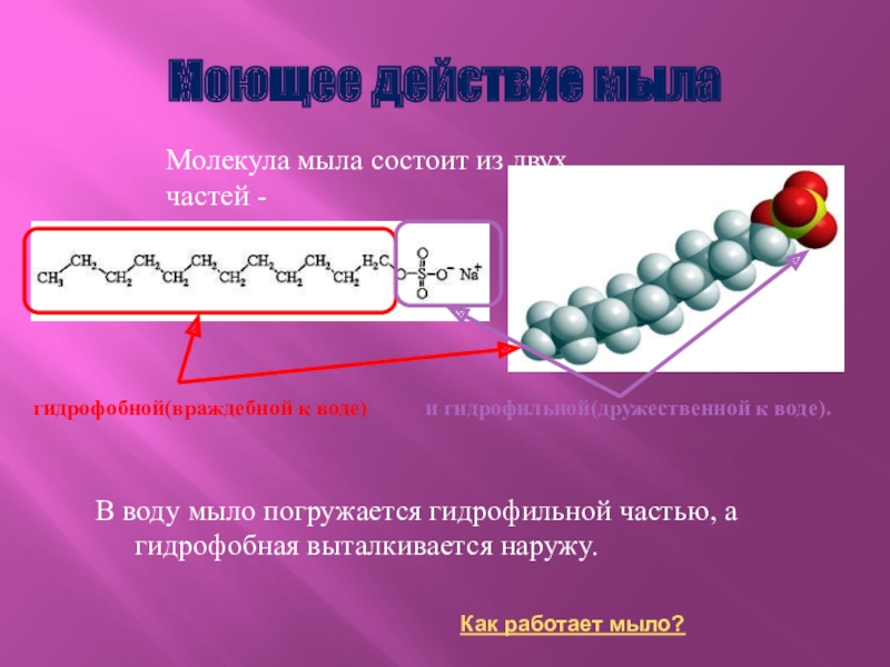 Схема отражающая строение молекулы мыла