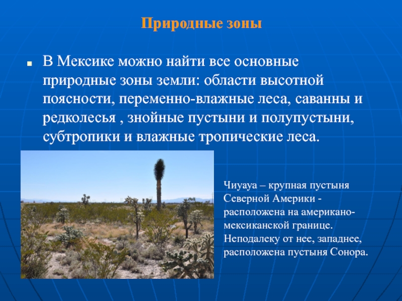 Зона кратко. Природныеьзоны Мексики. Природные зоны Мехико. Особенности природных зон Мексики. Природные зоны и их особенности Мексики.