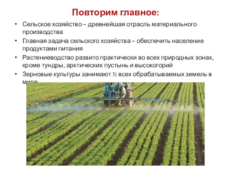 Мировое сельское хозяйство 10 класс. Задачи сельскохозяйственного производства. Задачи сельскохозяйственной отрасли.