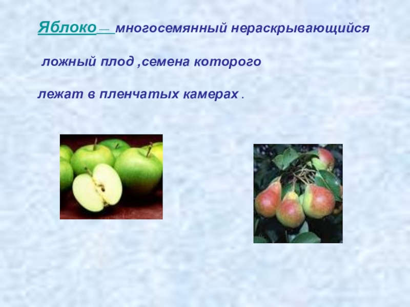 Экскурсия на таркос - CoffeePapa.ru