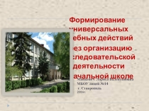 Презентация  Организация исследовательской деятельности в начальной школе