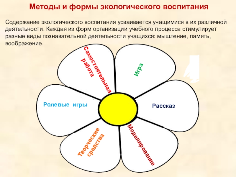 Презентация экологическое воспитание на уроках биологии