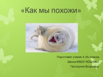 Презентация по окружающему миру Как мы похожи(2 класс)