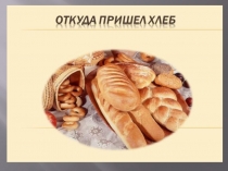 Презентация для кадетской группы История хлеба.