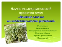 Исследовательская деятельность в начальной школе. Проект.