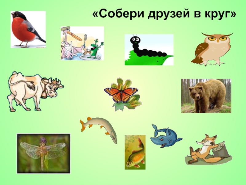 Тесты животные картинки. Группы животных. Хищные животные 1 класс окружающий мир. Задания 1 класс на тему растительноядные и Хищные животные. Растительноядные животные список.
