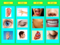 5-сыныпқа арналған Тұрақты тіркестер мен мақал-мәтелдерге арналған слайд