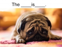 Презентация по английскому языку Mood (2 класс)