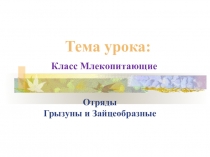 Презентация по биологии на тему Грызуны и зайцеобразные