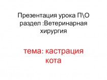 Презентация Этапы выполнения кастрации кота