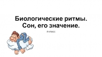 Презентация Биологические ритмы. Сон и его значение