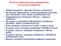 Презентация к уроку Мочевыделительная система