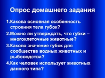 Презентация по биологии тип Кишечнополостные
