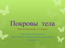 Презентация к уроку Покровы тела (7 класс)