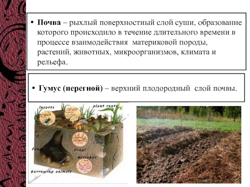 Почва как особое природное тело 6 класс презентация