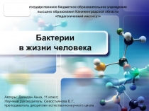 Презентация Бактерии в жизни человека