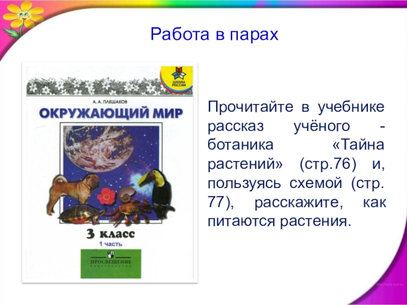 Тайна растений смысловые части. Солнце растения и мы с вами 3 класс. Тайна растений 3 класс. Солнце растения и мы с вами 3 класс презентация. Солнце растение и мы с вами рассказ.