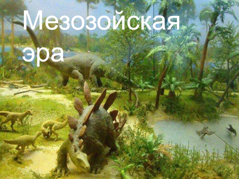 100 млн лет назад какая эра. Палеонтология Мезозойская Эра. Меловой период мезозойской эры. Мезозойская Эра растения. Динозавры мезозоя.