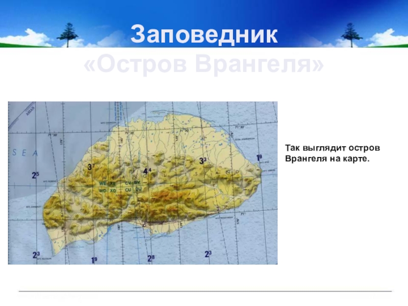 Острова врангеля на карте 5 класс