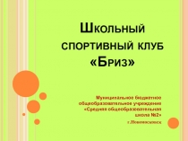 Презентация школьного спортивного клуба БРИЗ