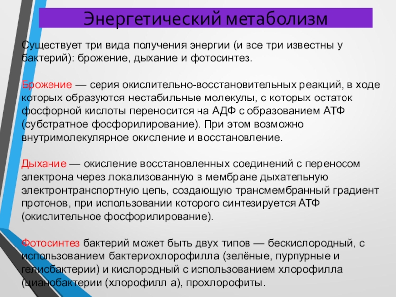 Тип обмена веществ бактерий. Типы энергетического метаболизма бактерий. Энергетический метаболизм бактерий. Способы получения энергии бактериями. Виды энергетического метаболизма у бактерий.