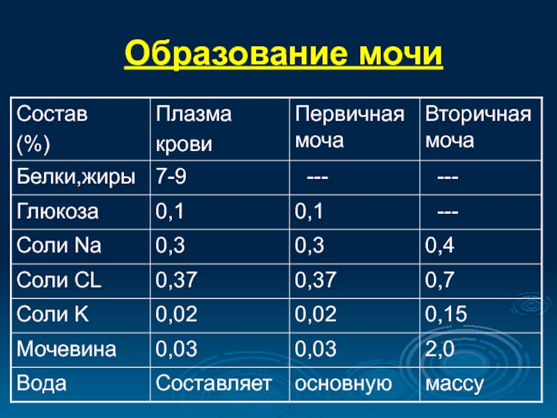 Определить состав в по объему. Плазма крови первичная и вторичная моча. Состав первичной мочи человека. Первичная и вторичная моча состав. Состав первичной и вторичной мочи.