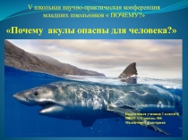 Презентация научно- практическая конференция младшего школьника 3 класс