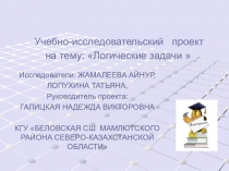 Проект по математике логические задачи для учащихся 9-11классов