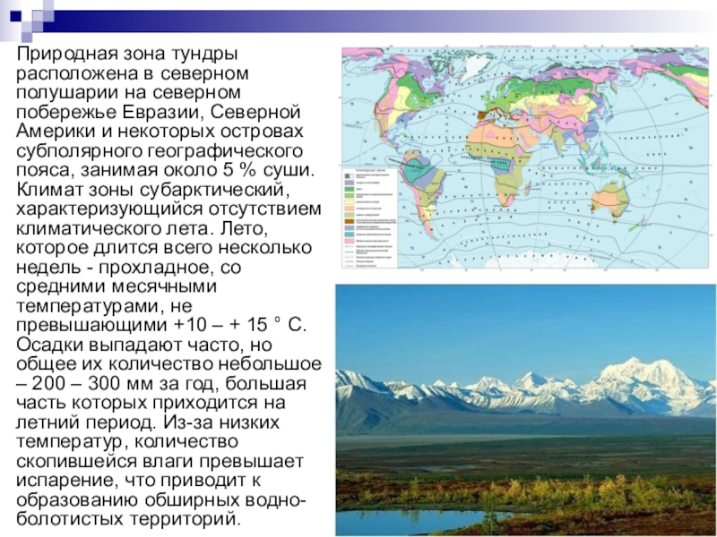 Евразия расположена в северном полушарии. Карта природных зон. Природные зоны Северного полушария. Географическое положение тундры.