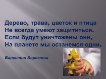 Презентация к уроку окружающего мира Экосистема поля