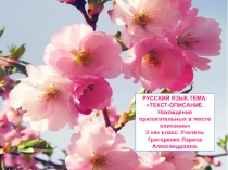 Презентация по русскому языку по теме Текст-описание.Имена прилагательные в тексте описании.