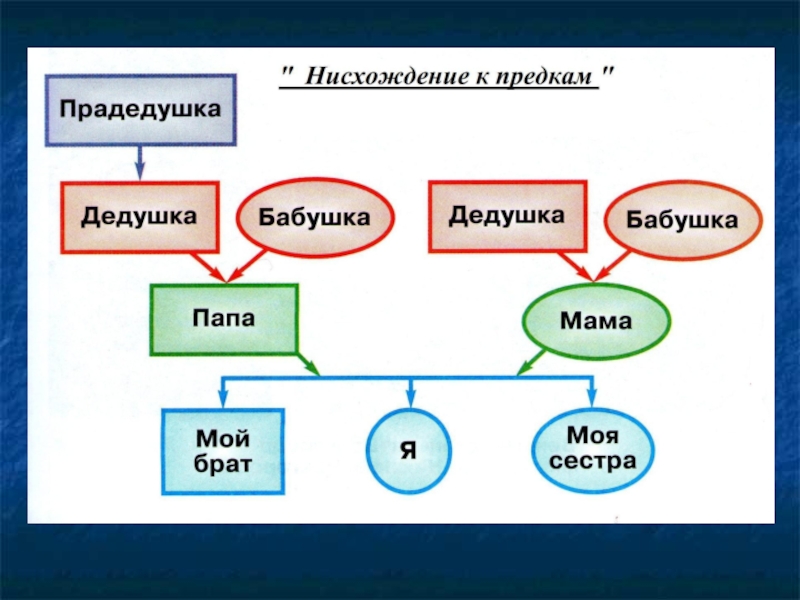 Мужа 3 рода. Схема родословная человека по окружающему миру 2 класс. Генеалогическое дерево для презентации. Родословная семьи окружающий мир. Проект родословная.