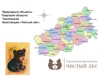 Природные объекты Тверской области. Торопецкая биостанция Чистый лес