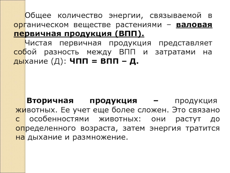 Продукция представляет собой. Валовая первичная продукция. Чистая первичная продукция. Валовая продукция экология. Валовая и чистая первичная продукция.