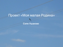Презентация по окружающему миру. Проект  Моя малая Родина