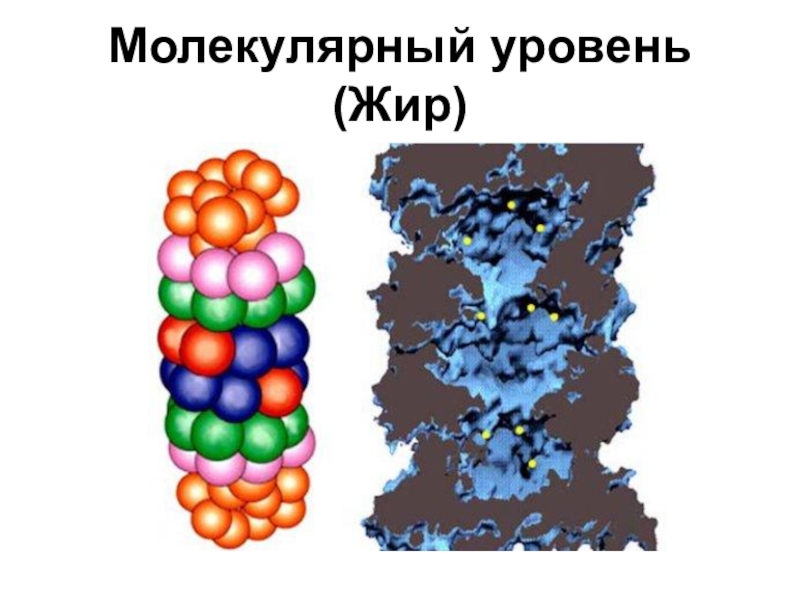 Молекулярный кратко. Молекулярный уровень. Молекулярный уровень организации. Молекулярный уровень организации жизни. Молекулярный уровень жизни.