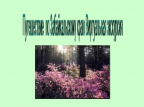 Виртуальное путешествие в Забайкалье