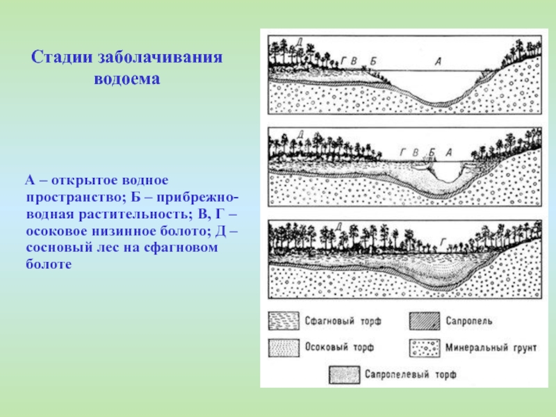 Схема зарастание озера