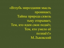 Презентация по физике по теме Магнитное поле 9класс