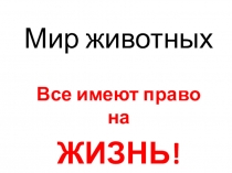 Презентация к внеклассному мероприятию  В мире животных (2 класс)