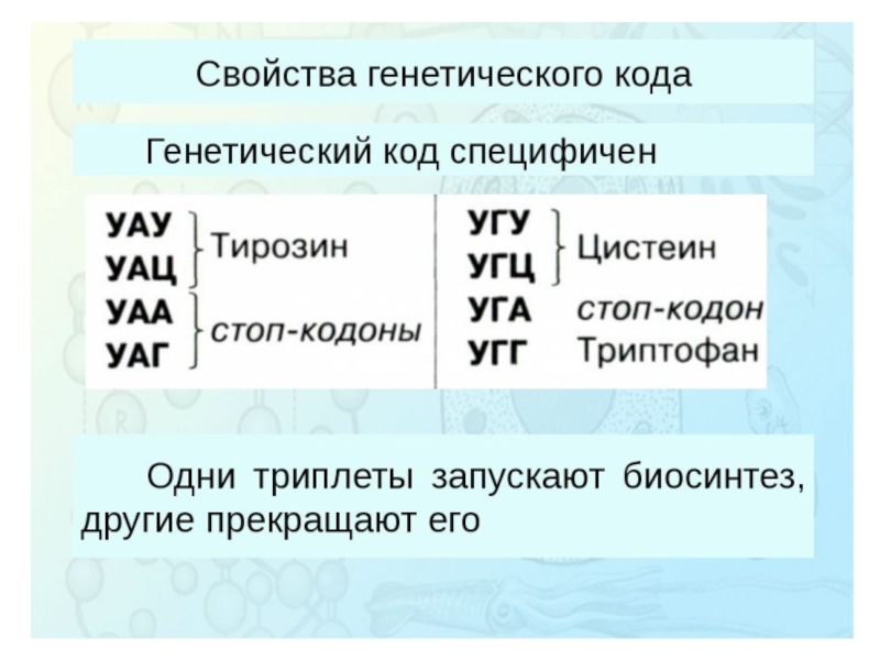 Какое свойство генетического. Кодирование ДНК биология 10 класс. Генетический код биология 10 класс. Свойства генетического кода таблица 10 класс. Биологический генетический код и его свойства.