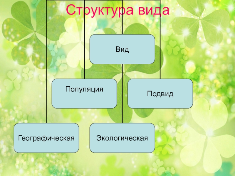 Темы презентаций по биологии 11 класс