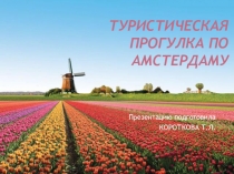 Презентация к серии классных часов на тему:Путешествуем по миру. Амстердам.
