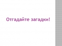 Презентация для открытого классного часа на ттему: №Братья наша меньшие