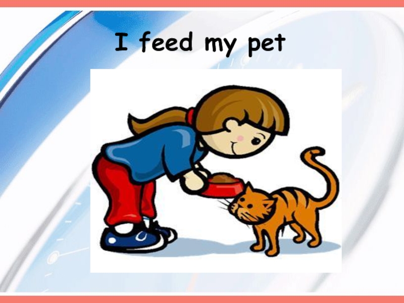 My feed перевод. Feed my Pet. Feed the Pet картинки для детей. My Pet картинки для детей. Feed my Pet Flashcard.