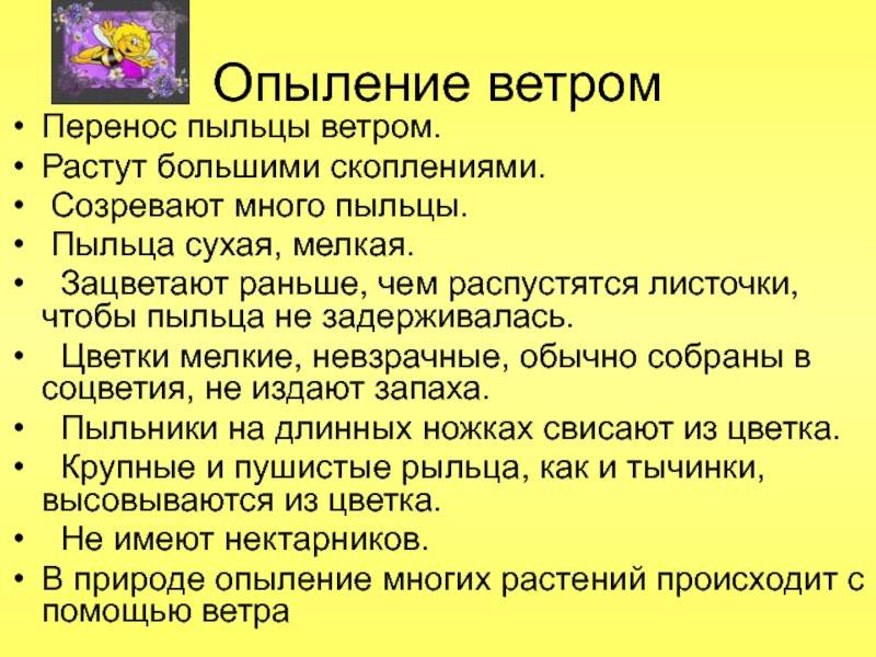 Опыление с помощью. Опыление ветром. Признаки опыления ветром. Опыление растений ветром. Мелкая пыльца опыляется ветром.