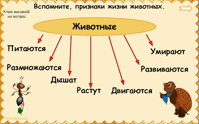 Дополни схему животное живое существо передвигается размножается